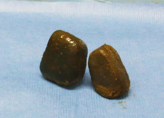 Cube-shaped wombat poo.